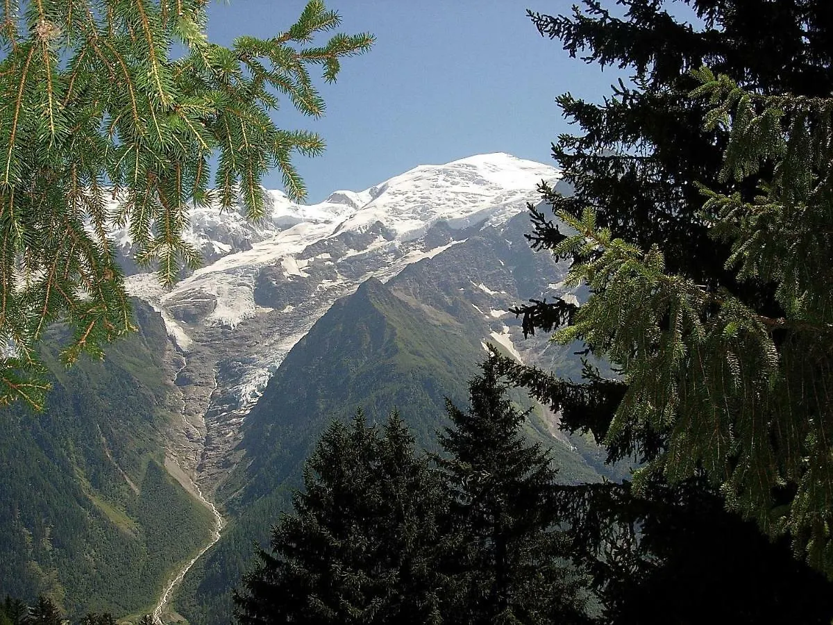 Facing The Chamonix Needles Διαμέρισμα Les Houches