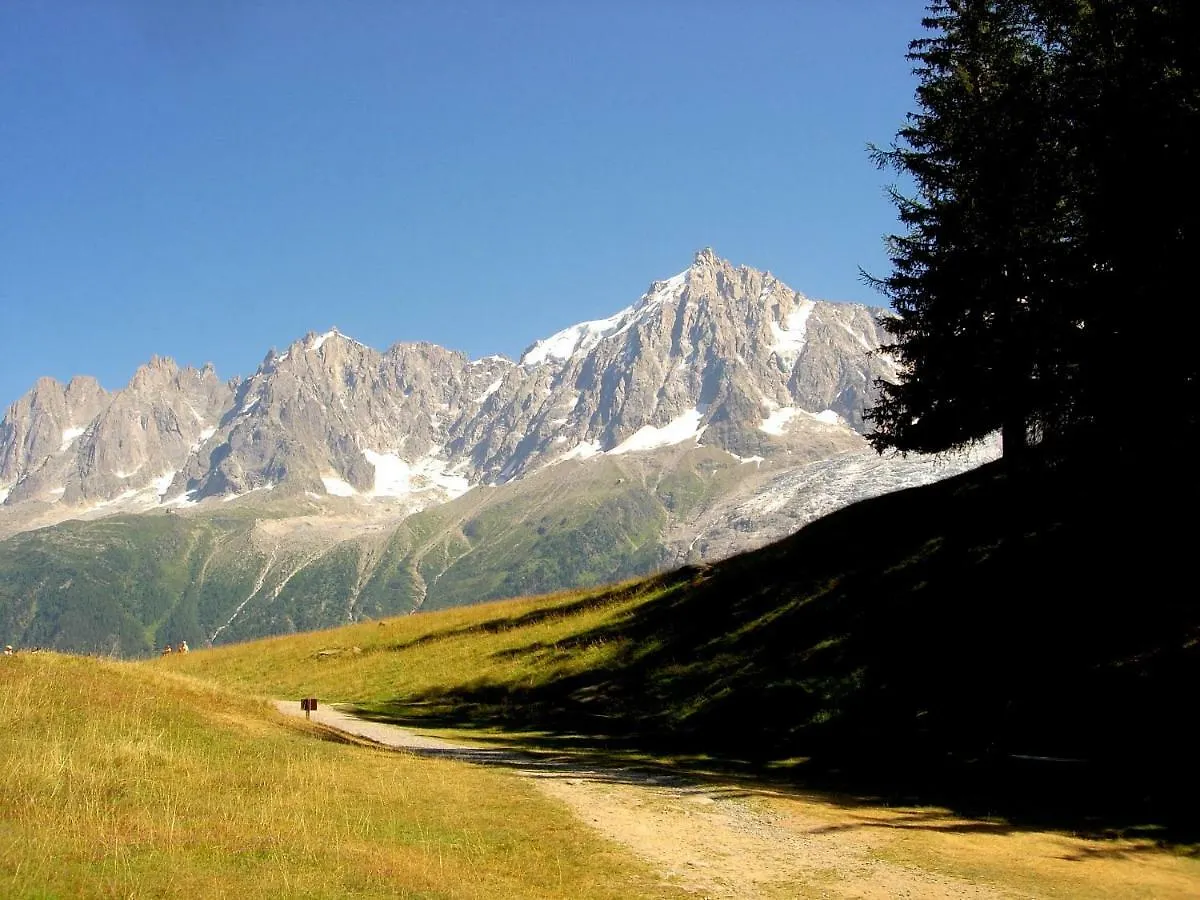Facing The Chamonix Needles Apartment Les Houches France